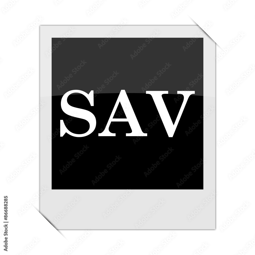 SAV icon SAV icon