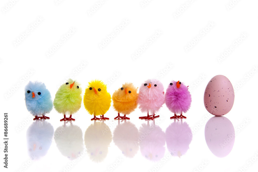 Easter egg and chicks colourful and aligned shot on a white background with reflection