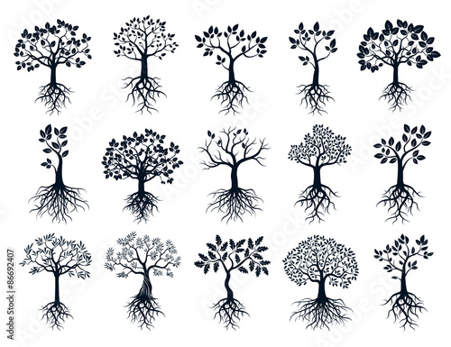 Set of Black Trees and Roots