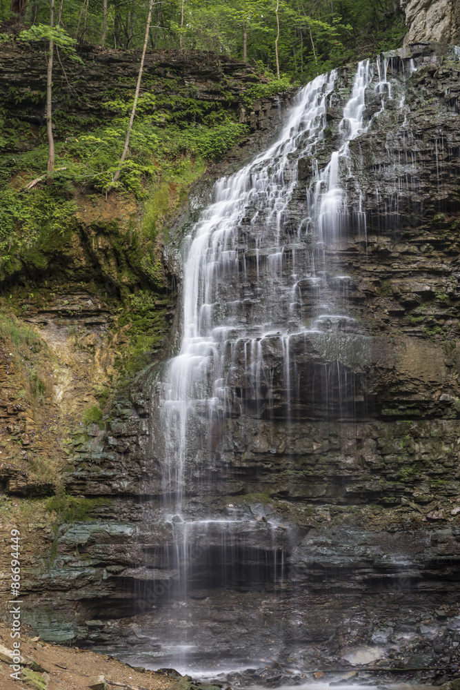 Fototapeta premium Tiffany's Beauty