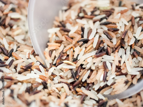 Macro shot of mixed raw rice