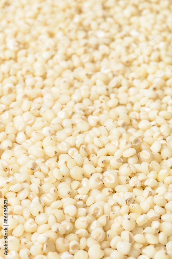 food background of sorghum, tilt shift lens