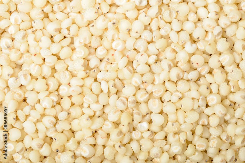 food background of sorghum, tilt shift lens food background of sorghum, tilt shift lens