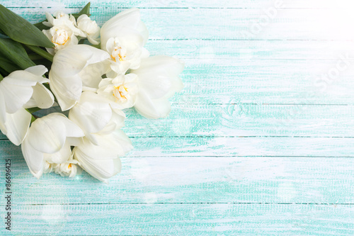 Fototapeta Naklejka Na Ścianę i Meble -  Background with  white tulips and narcissus