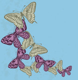 Background in the old style with flying butterflies. Many similarities in the profile of the artist