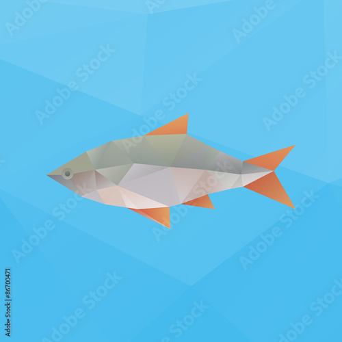 Vector poly fish