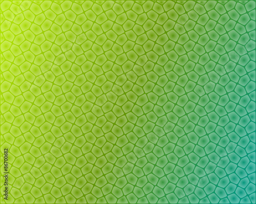 Abstract plant cells background