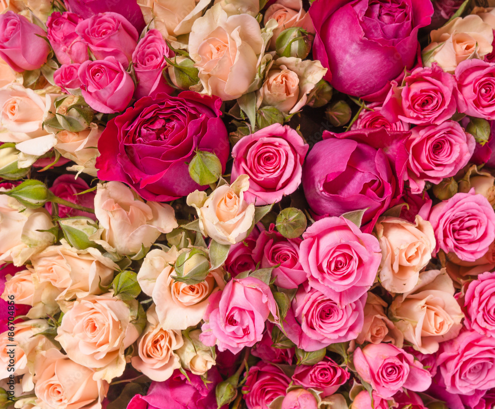 Assorted roses Assorted roses
