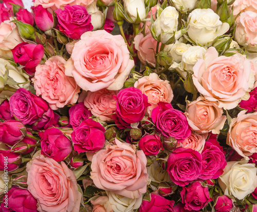 Assorted roses © Ruslan Gilmanshin