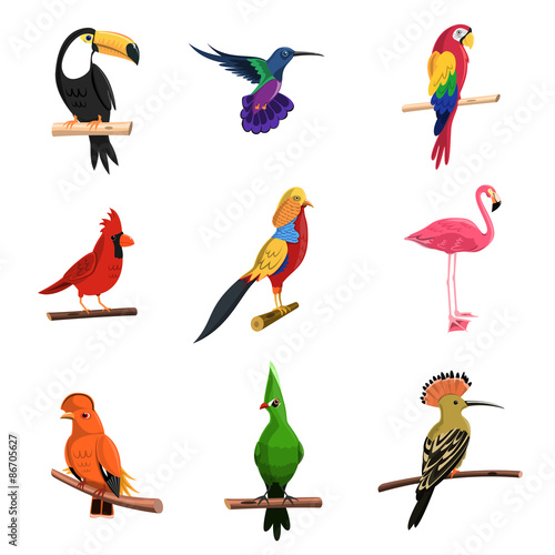 Exotic Birds Set
