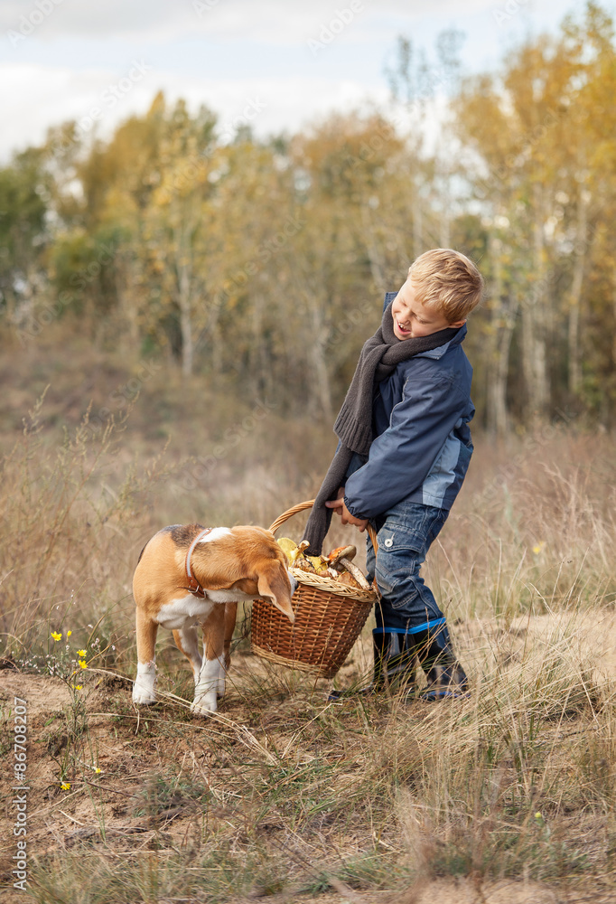Boy with full heavy basket of mushrooms on the forest glade
