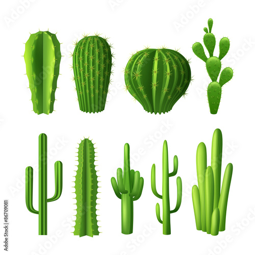 Cactus Realistic Set
