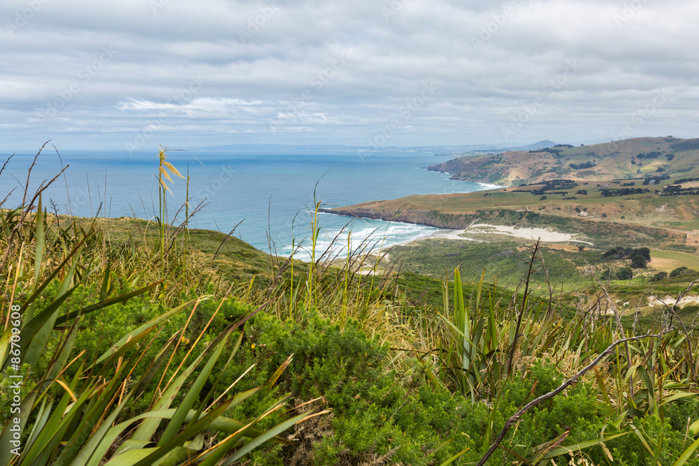 Coastal view from top of the mouintain. New Zealand, Otago Penin Coastal view from top of the mouintain. New Zealand, Otago Penin