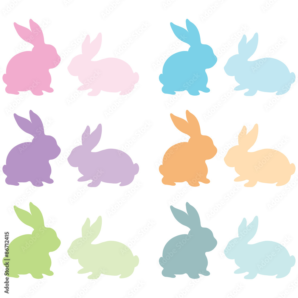 Colorful Bunny Silhouette