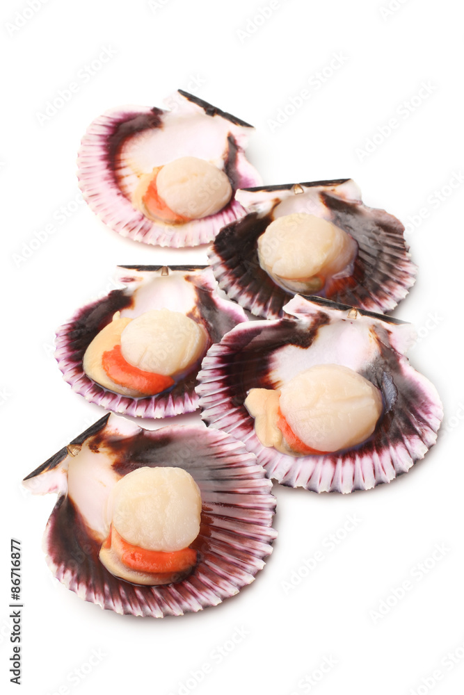 Raw scallops Raw scallops
