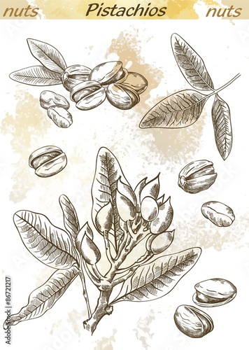 pistachios