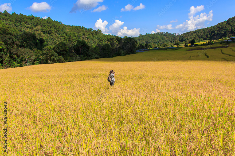 Asian women take a photo green terraced rice field in Mae Klang Luang , Mae Chaem, Chiang Mai, Thailand Asian women take a photo green terraced rice field in Mae Klang Luang , Mae Chaem, Chiang Mai, Thailand