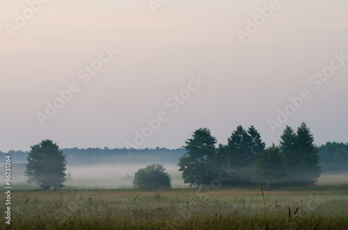 foggy morning in countryside