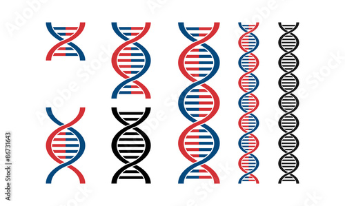 Helix DNA Vector Illustration Package