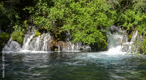 Water falls in forest