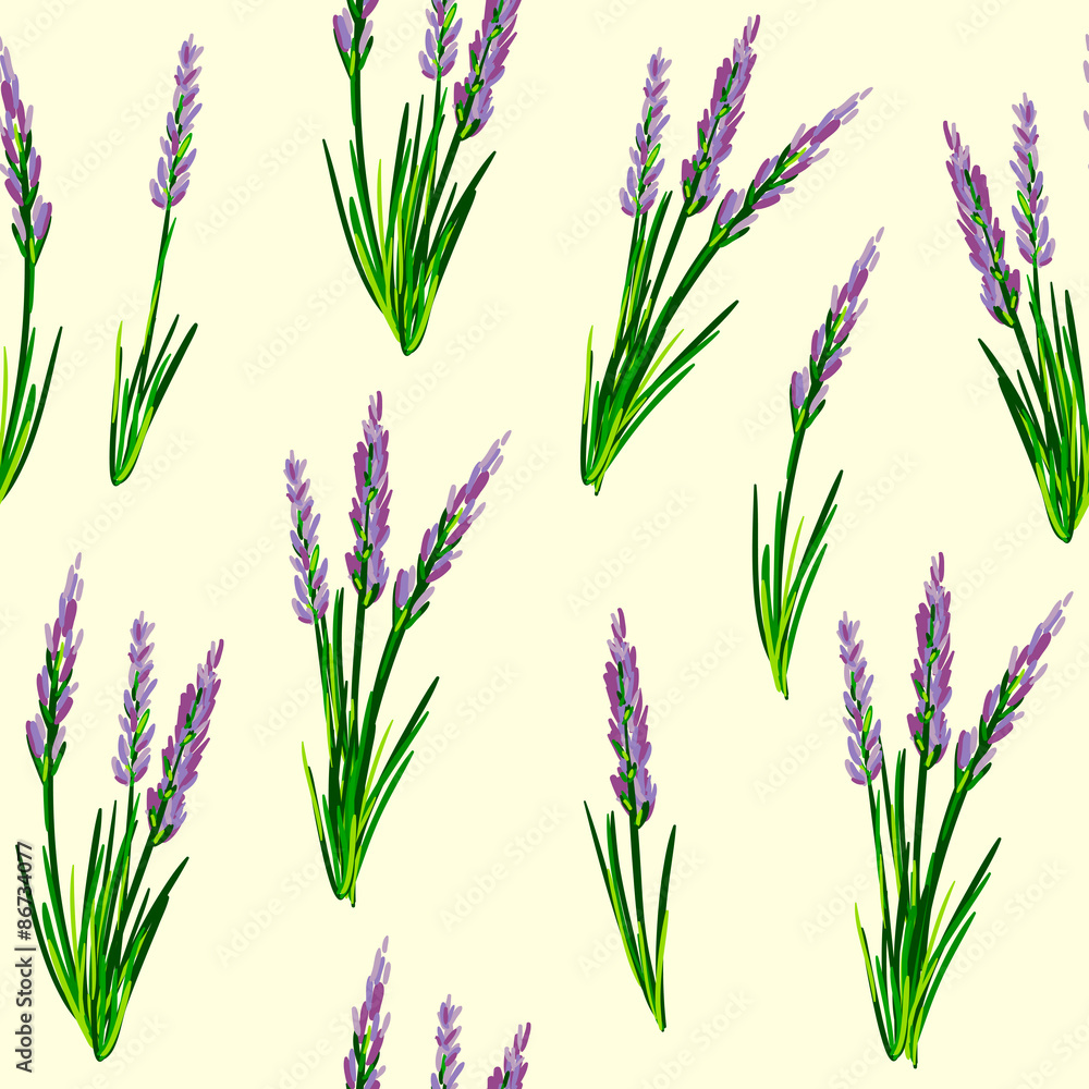 Fototapeta premium Seamless Pattern with Lavender flowers. Vector illustration. Illustration for greeting cards, invitations, and other printing projects