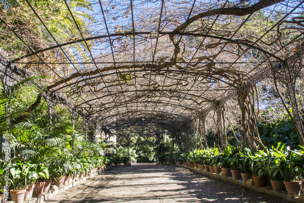 Malaga Botanical Gardens