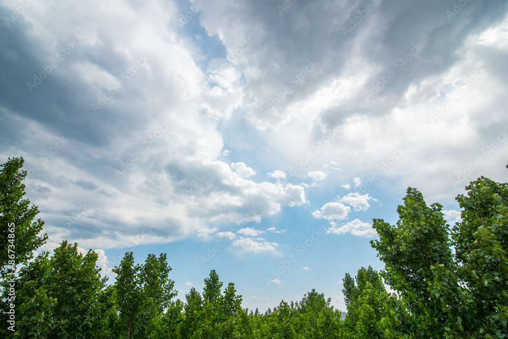 Cloud Cloud