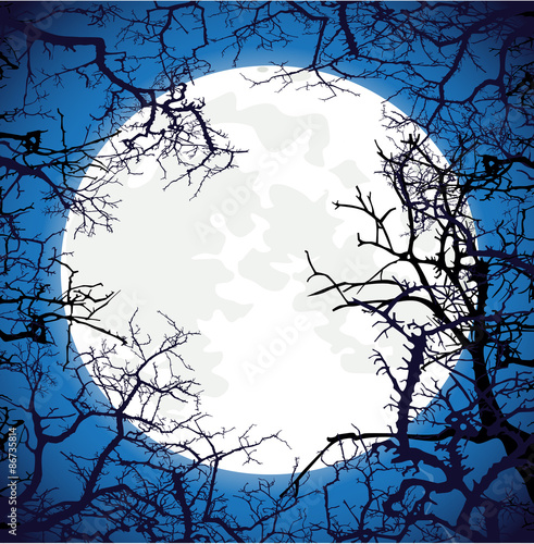 Frame from silhouettes of bare branches of trees on full moon ba