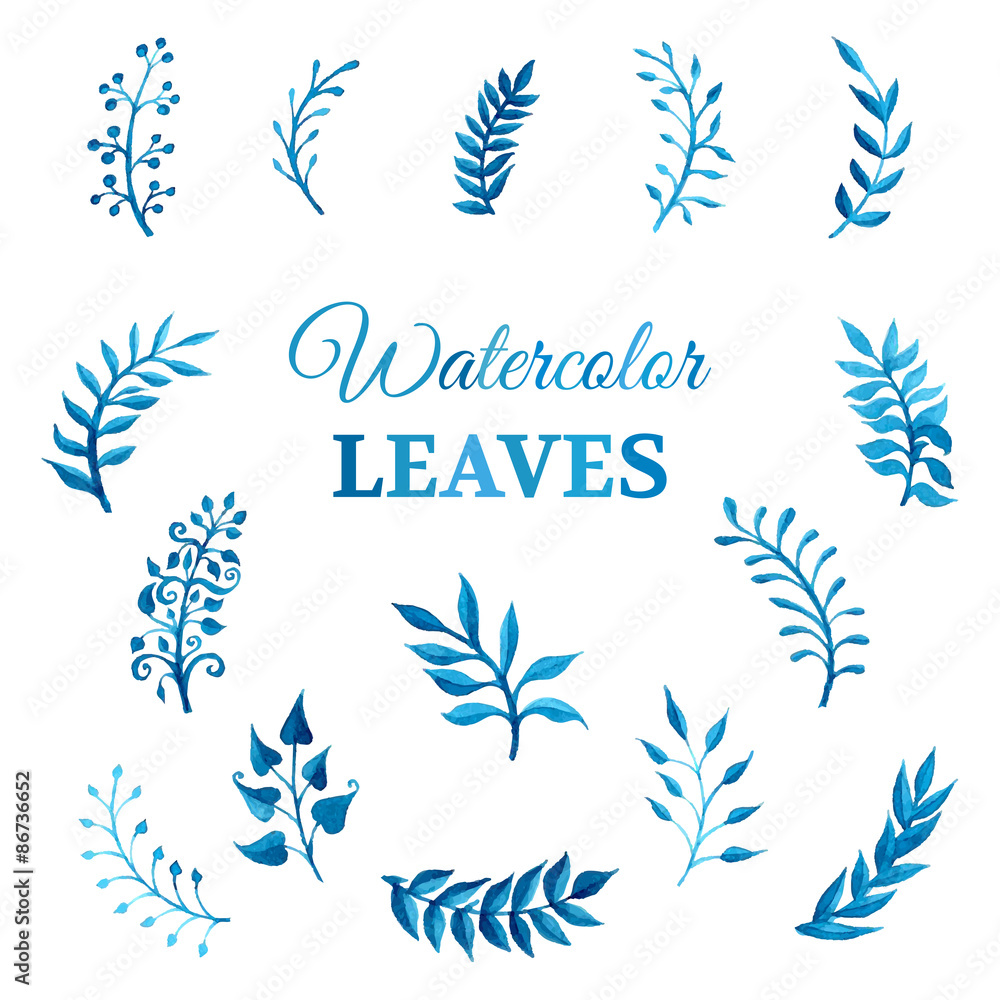Vector set of vector watercolour leaves.