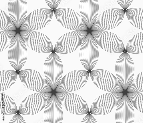 Monochrome gray striped six pedal flowers