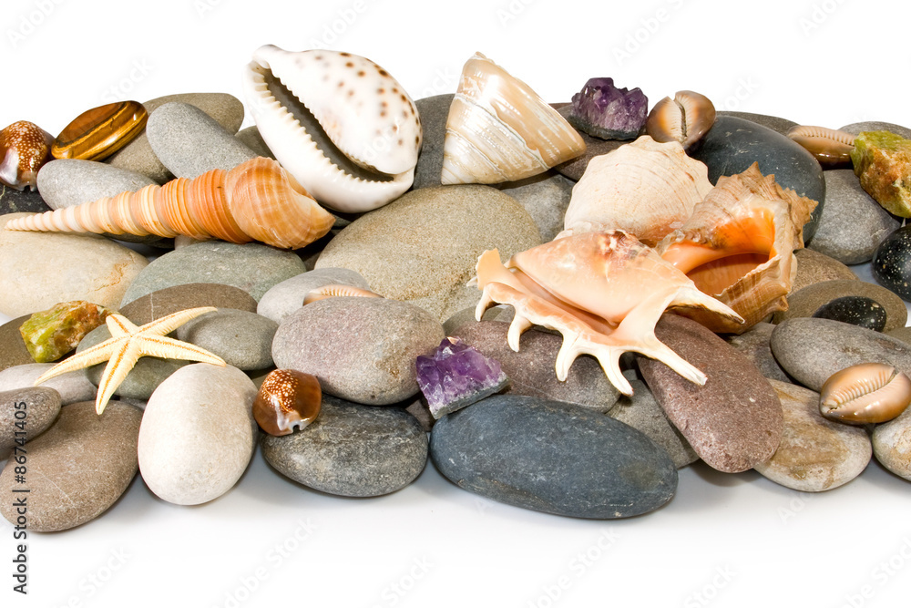 stones and sea shells on a white background