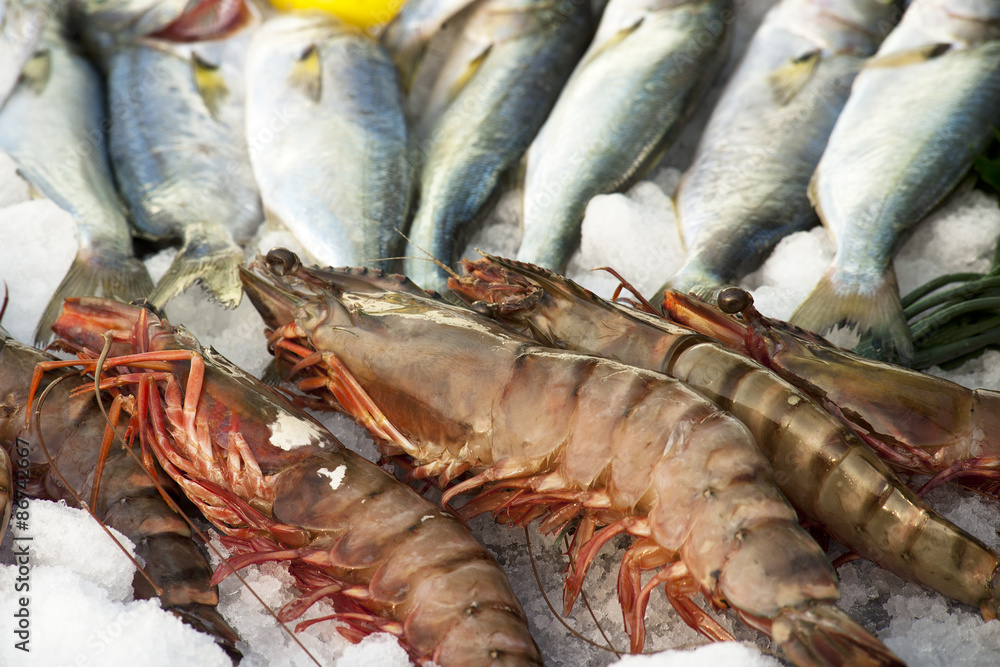 Fototapeta premium Big shrimp
