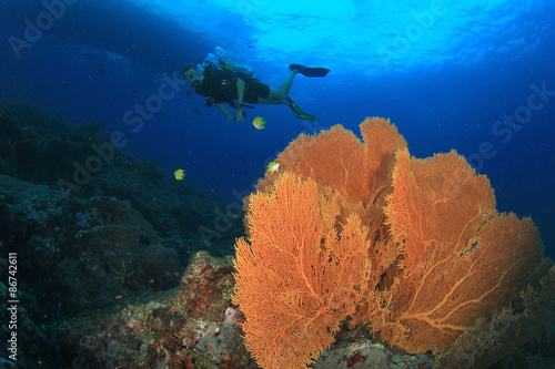 Scuba diving on coral reef underwater with fish