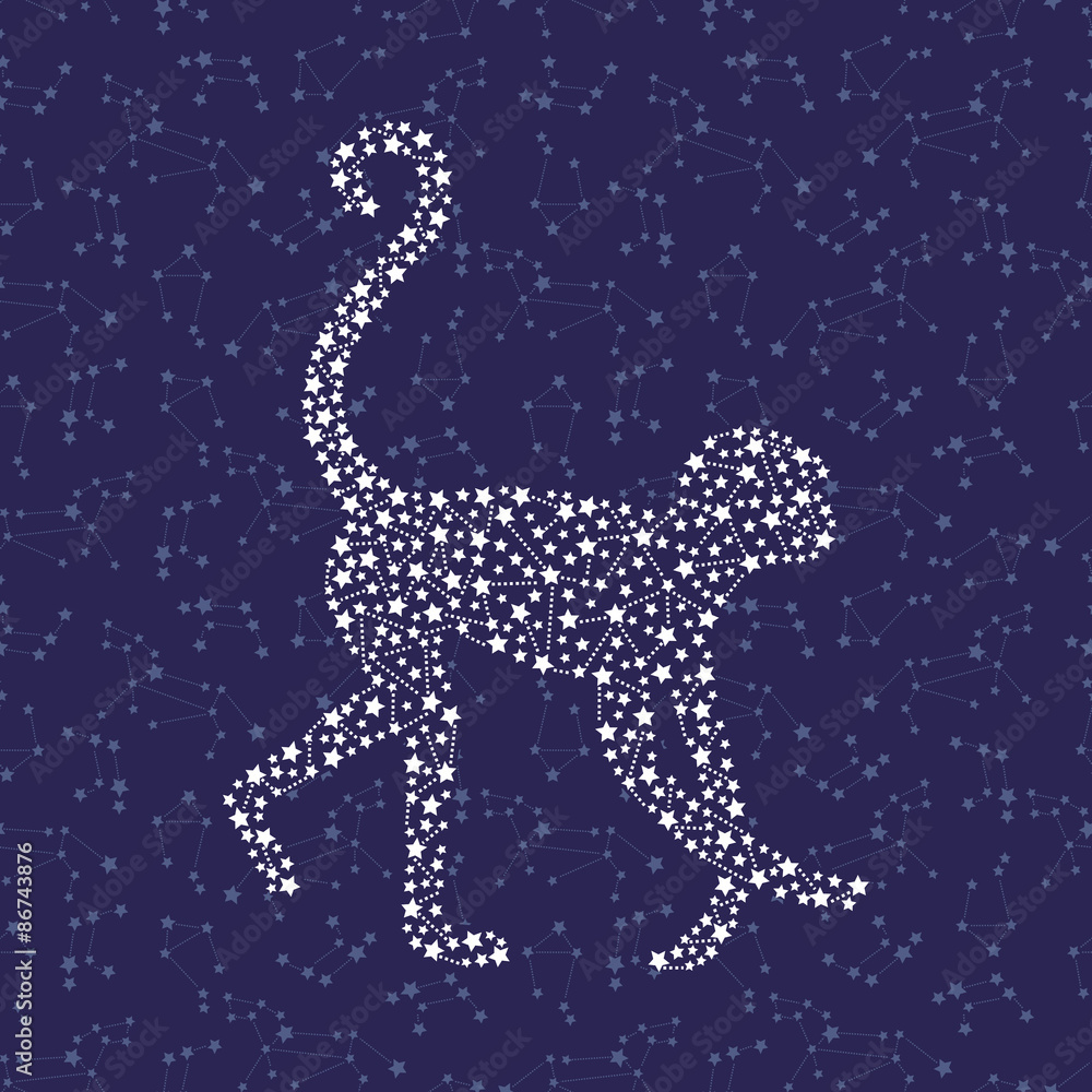 Fototapeta premium Monkey - Happy new year 2016 symbol on night sky background. Year Of The Monkey. Vector Illustration monkey with astrological constellation.