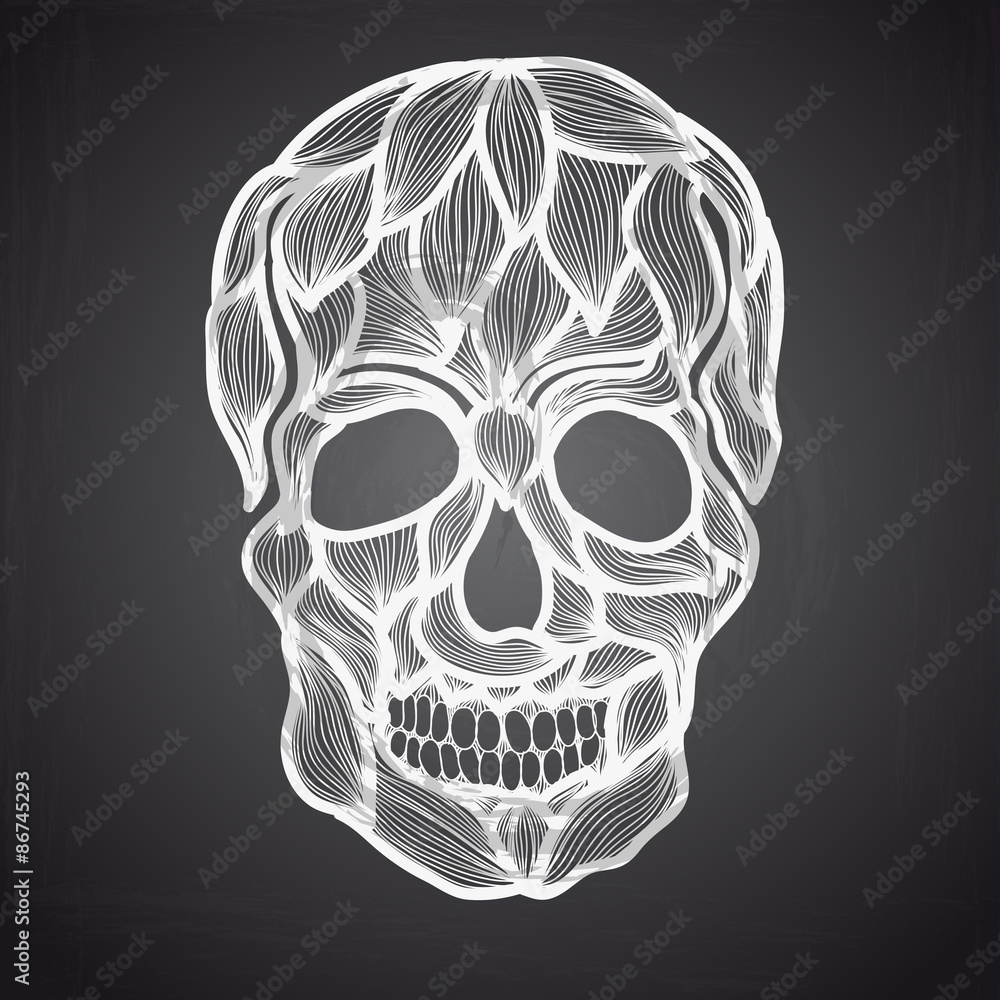 Vector illustration with Hand Drawn Skull. Vector illustration with Hand Drawn Skull.