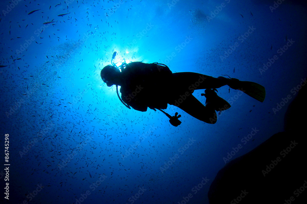 Fototapeta premium Scuba diver
