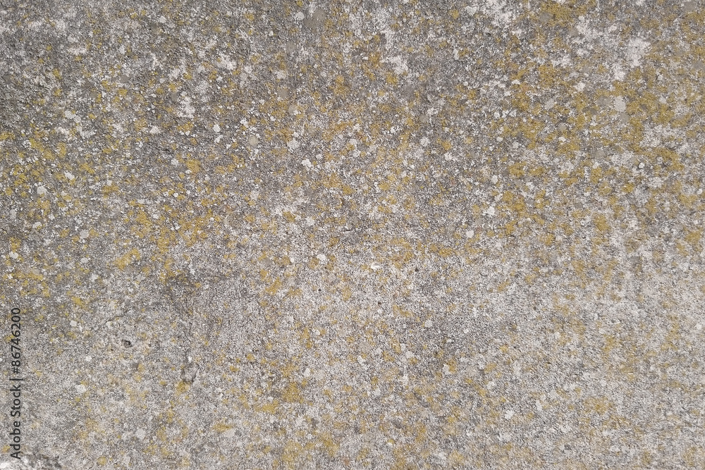 grunge wall background grunge wall background