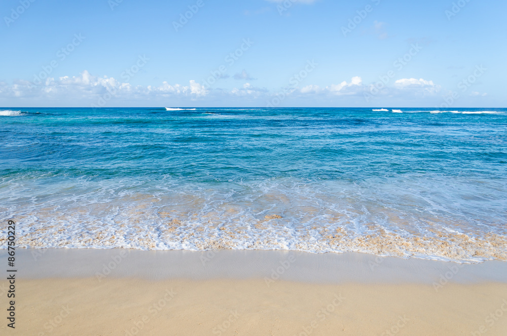 Obraz premium Ocean and tropical sandy beach background