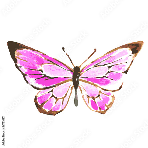 butterfly,watercolor design © aboard