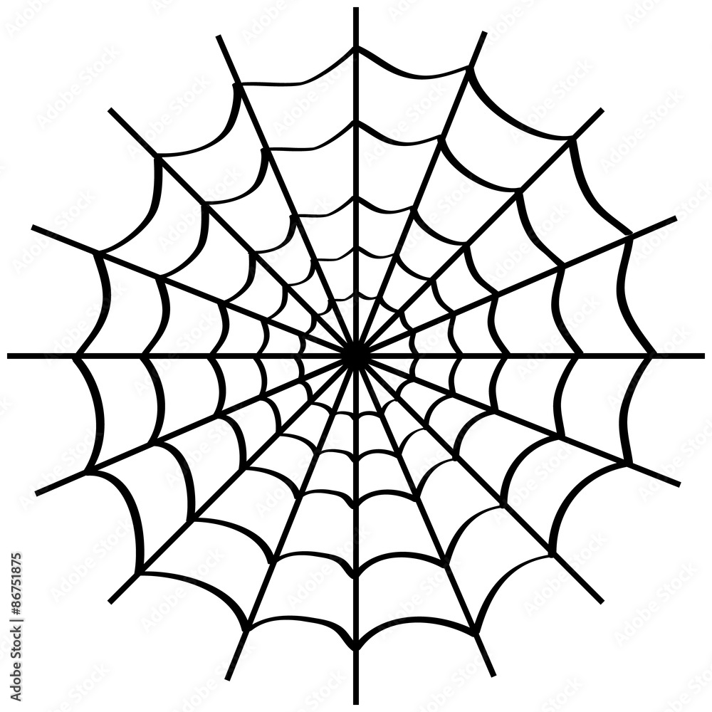 Spider web on white. Spider web on white.