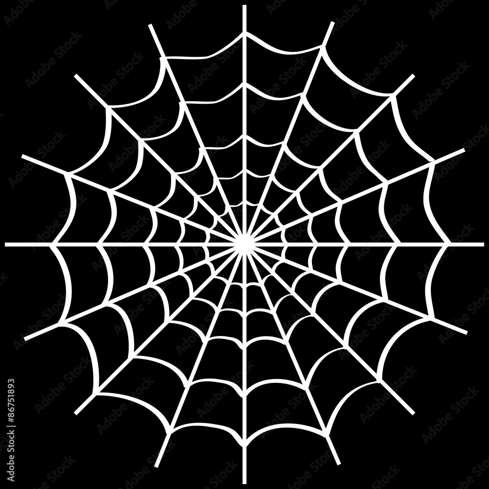 Obraz premium Spider web on black.