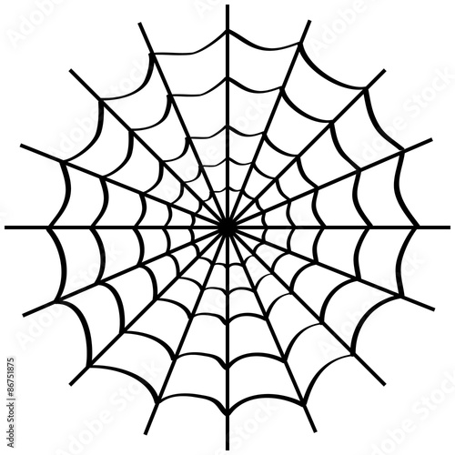 Spider web on white.