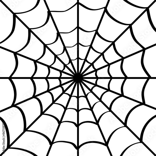 Spider web on white.