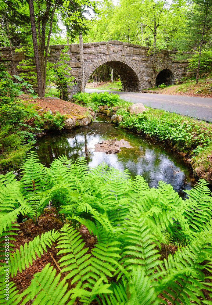 Fototapeta premium Bridge and Pond at Acadia National Park