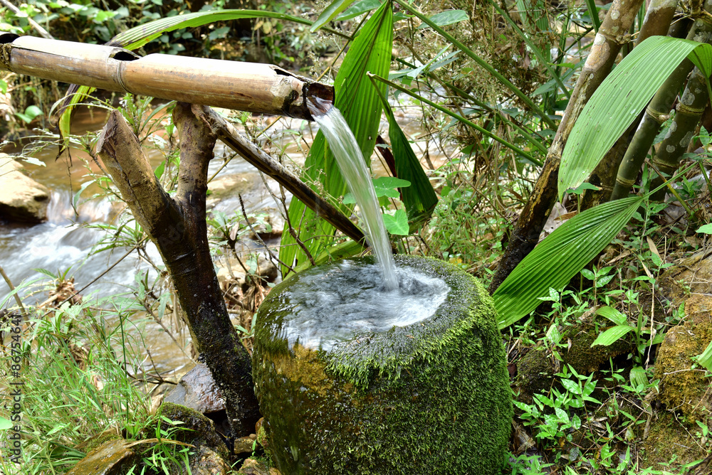 Bamboo is used to make transport water naturally Bamboo is used to make transport water naturally