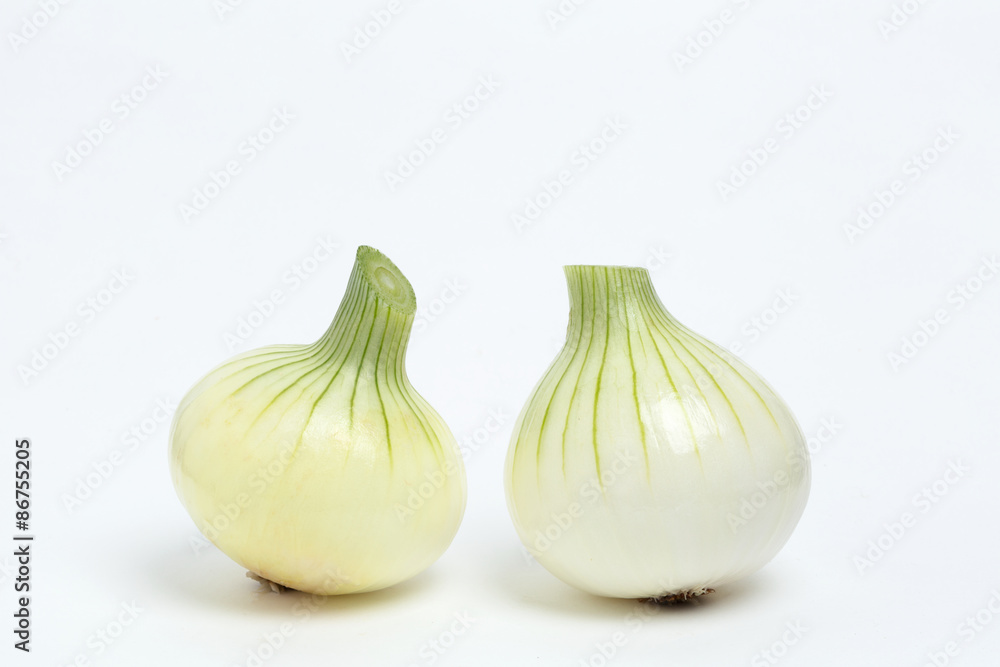 Obraz premium 新タマネギ