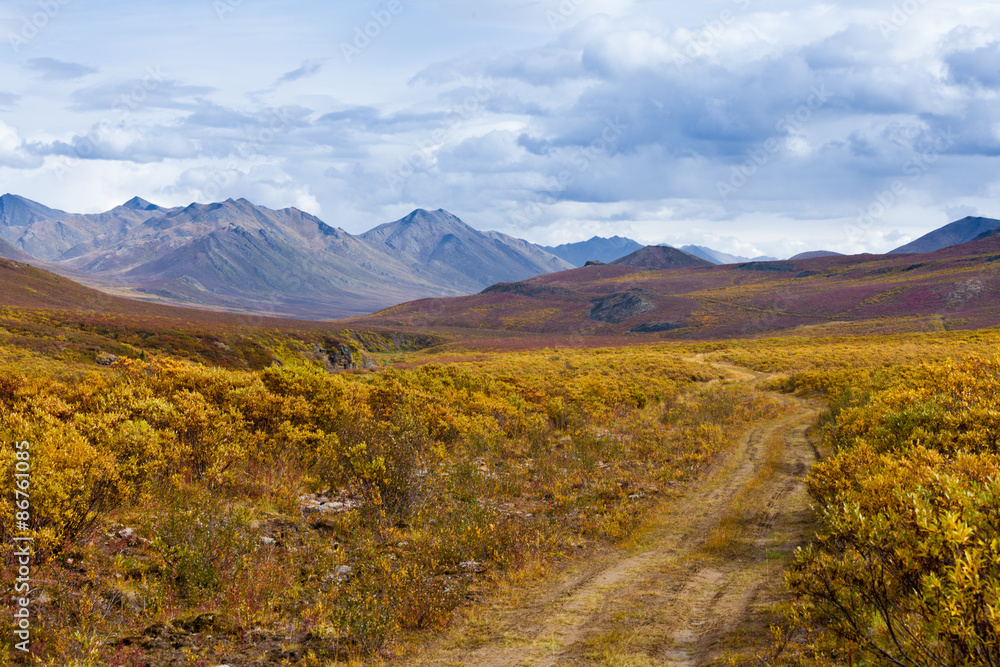 Fall color Tombstone Territorial Park Yukon Canada