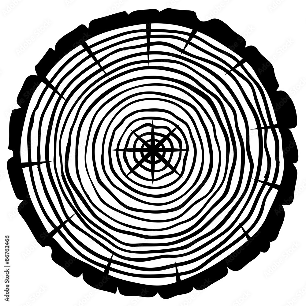 Fototapeta premium vector tree rings background and saw cut tree trunk