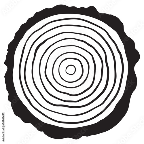 Cross section of tree stump, vector illustration