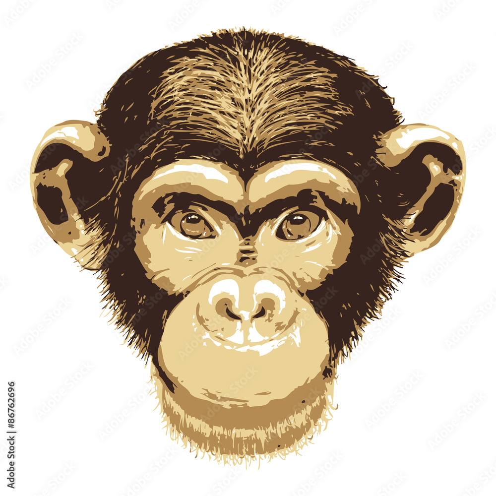 Vector image of monkey face on white background Stock Vector | Adobe Stock